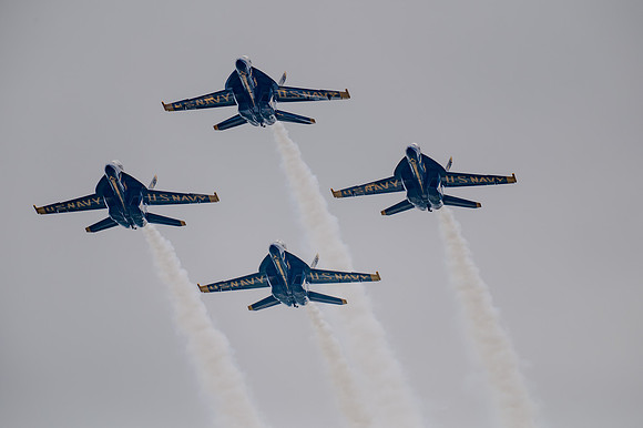 TZ6_2389