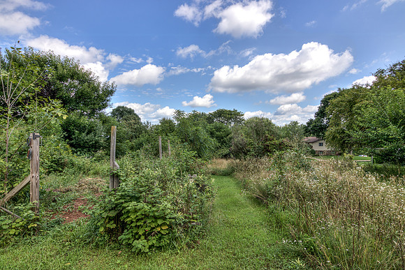 19 - Backyard-08
