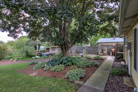 19 - Backyard-04