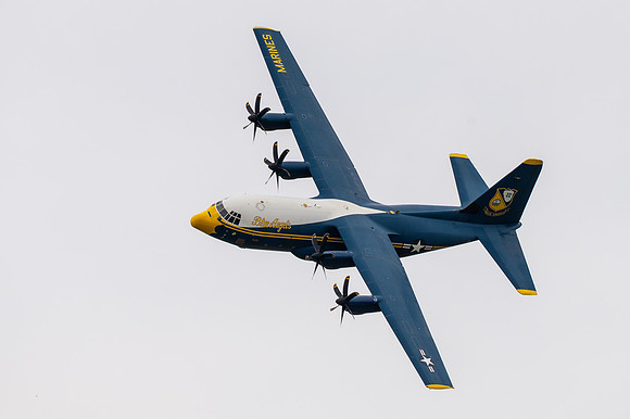 TZ6_3955