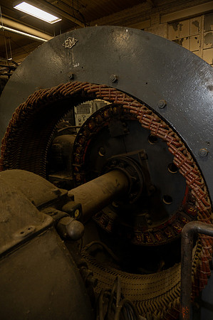 TZ6_3725