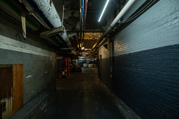 TZ6_3787