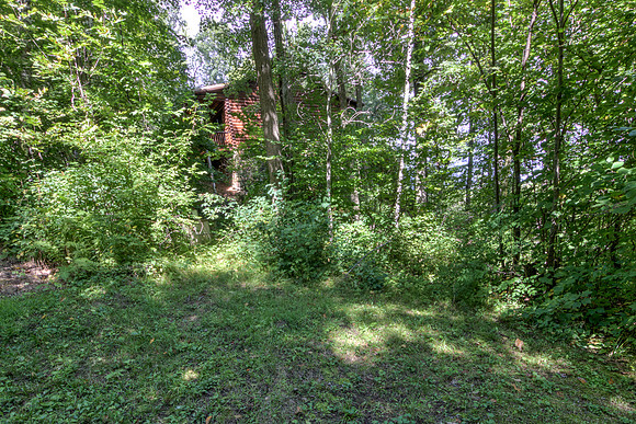 19 - Backyard-11