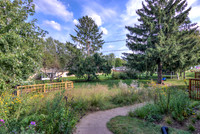 19 - Backyard-03