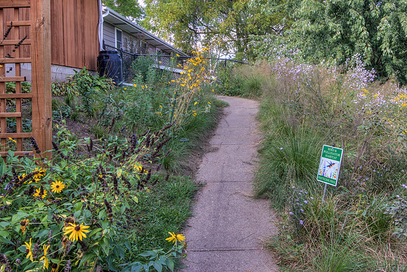 19 - Backyard-05