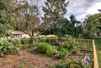 19 - Backyard-08