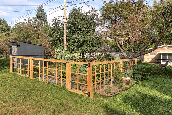 19 - Backyard-09