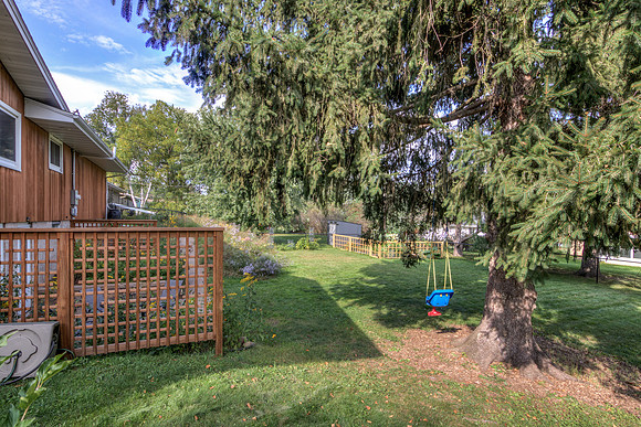 19 - Backyard-10