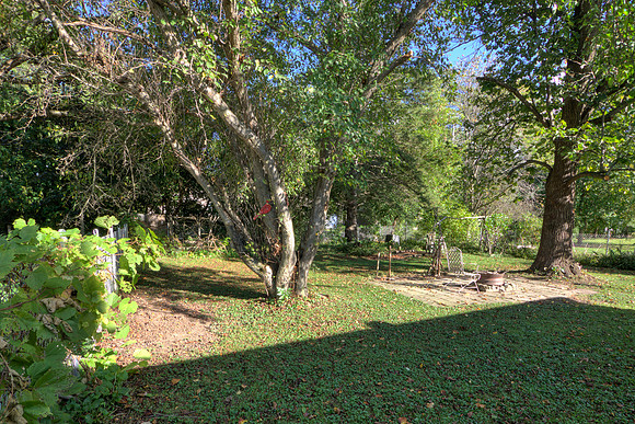 19 - Backyard-5