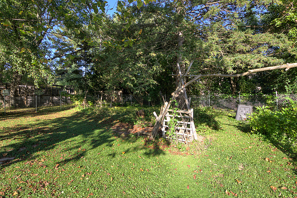19 - Backyard-8