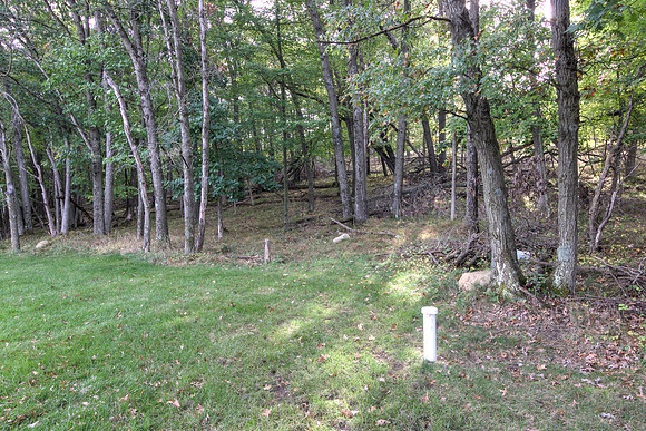 19 - Backyard-05