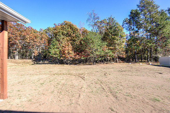 19 - Backyard-3