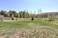 19 - Backyard-2