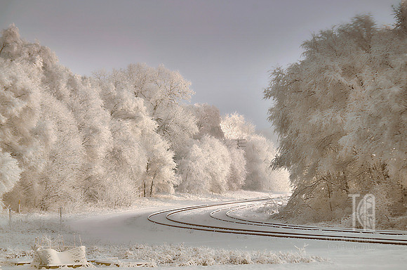 Powdered Sugar Night - Tim Abraham