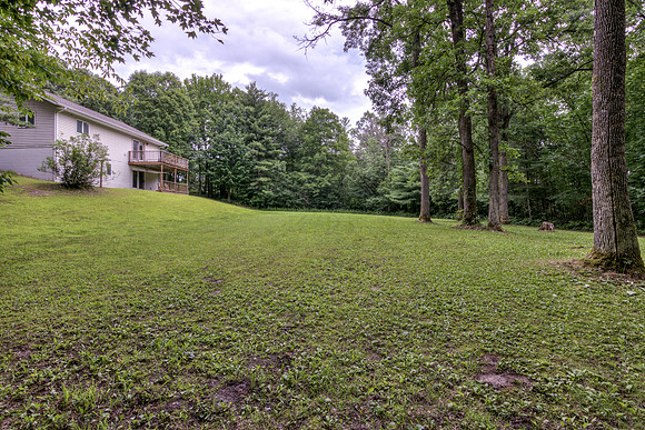 19 - Backyard-4