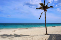 Photo-a-Day. Day 5. Elbow Beach, Bermuda