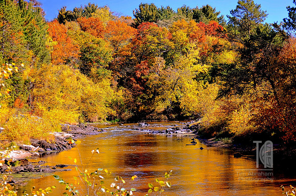 Photo-a-Day. Day 292. Golden Autumn Day... (September 2012)