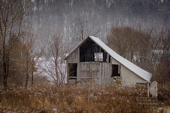 DSC_5238