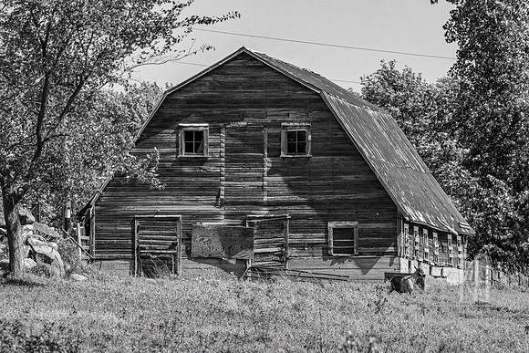 DSC_5781-Edit