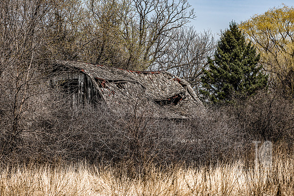 DSC_7144-Edit
