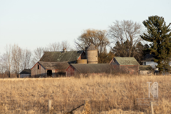 DSC_6658-Edit