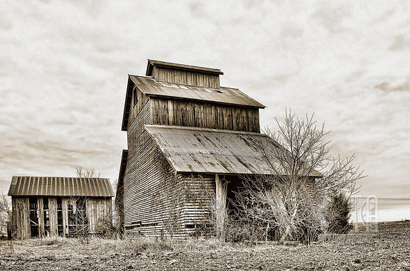 DSC_5973b