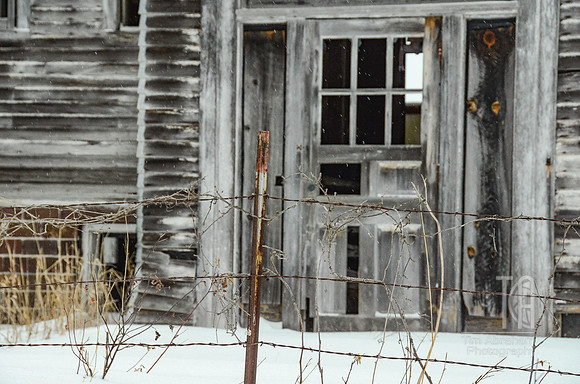 DSC_3128