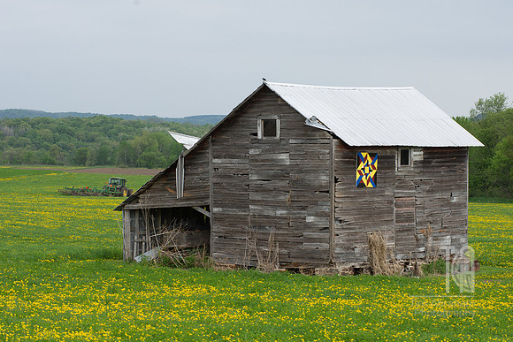 DSC_2060