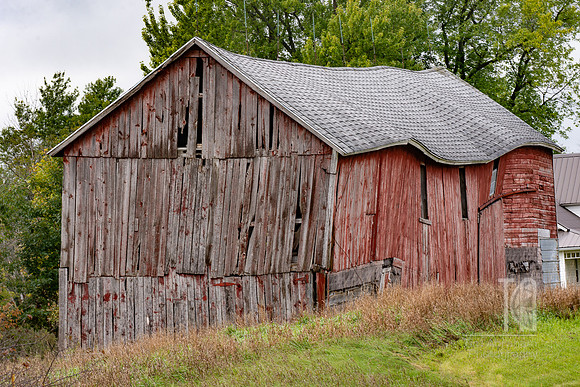 DSC_6105