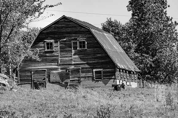 DSC_5782