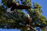 DSC_9244-Edit