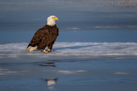 IMG_0078-Edit