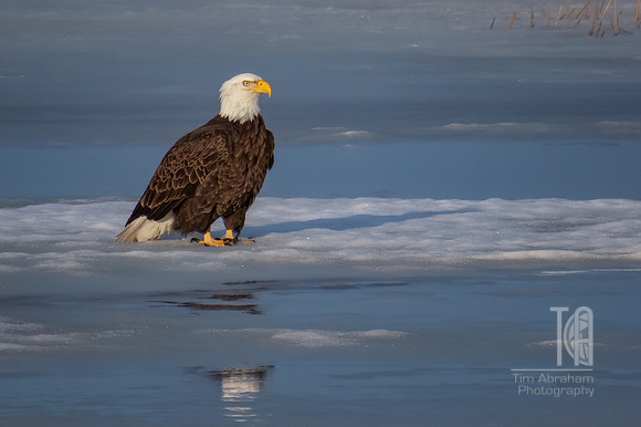 IMG_0078-Edit