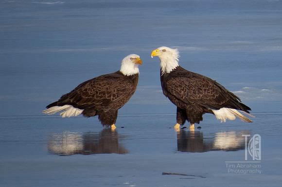 IMG_0081-Edit-Edit