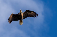 DSC_9425-Edit