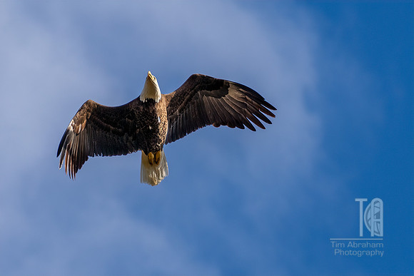 DSC_9425-Edit