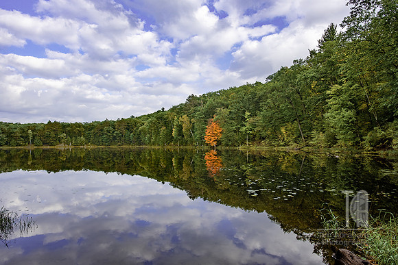 TLA_3000-HDR-Edit