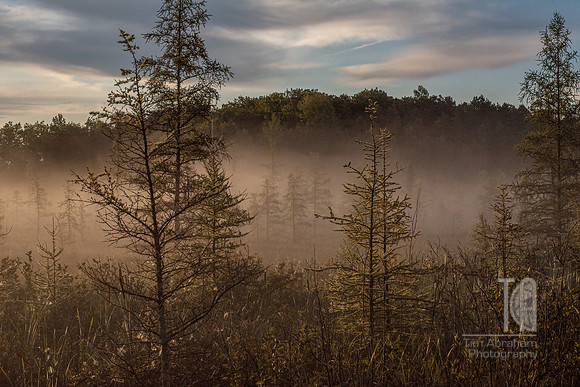 TLA_6992-Edit