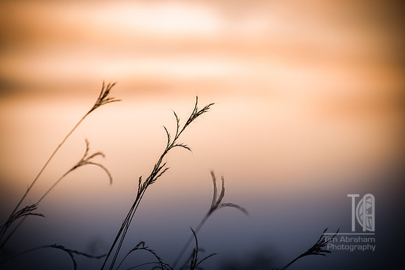 TLA_7479-Edit-2