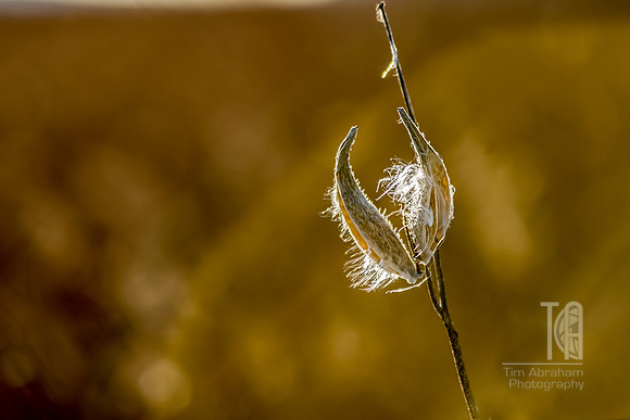 DSC_5587-Edit