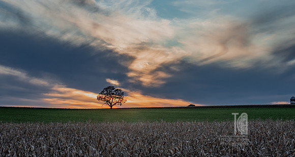 TLA_5021-HDR-2-Edit-Edit