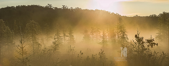 TLA_7000-Pano-denoise