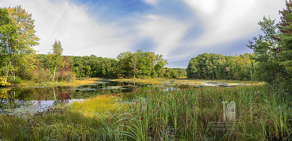 TLA_7114-Pano-Edit