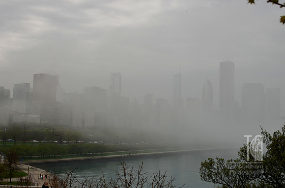DSC_7887