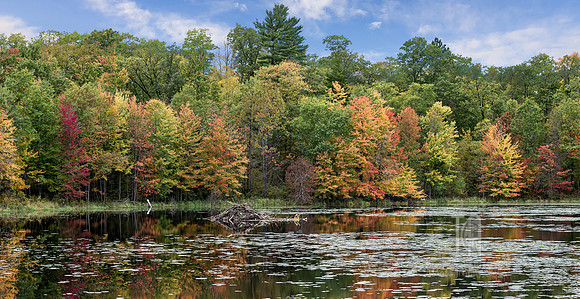 TLA_3332-Pano-Edit-Edit-2