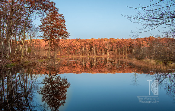 TLA_6268-HDR
