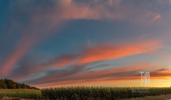 TLA_6944-Pano-Edit