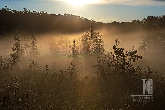 TLA_6993-Edit