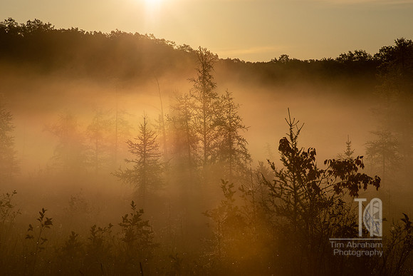 TLA_6989-Edit