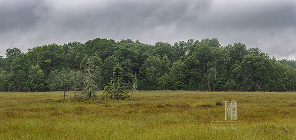 TLA_2083-Pano-Edit